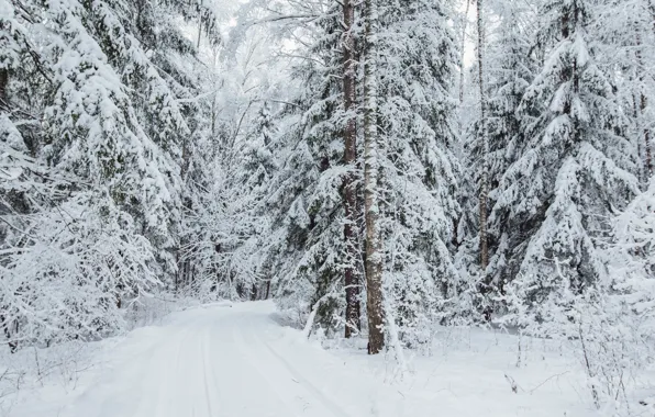 Winter, road, forest, snow, landscape, overcast, snowfall, winter forest