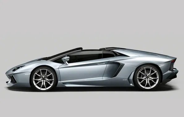 Roadster, Machine, Car, 2012, Car, New, Wallpapers, Lamborghini