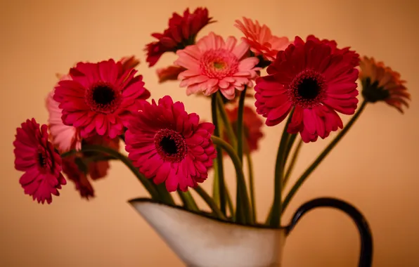 Picture flowers, background, gerbera