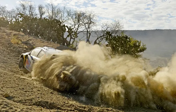 Picture Dust, Sport, Volkswagen, Machine, Mexico, WRC, Rally, Rally