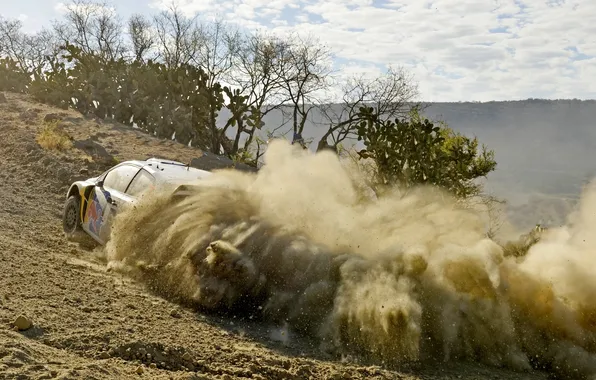 Dust, Sport, Volkswagen, Machine, Mexico, WRC, Rally, Rally