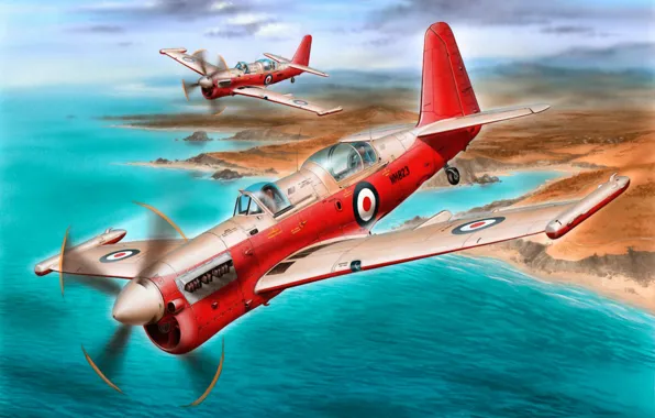 Picture painting, airplane, art, aviation, Fairey Firefly