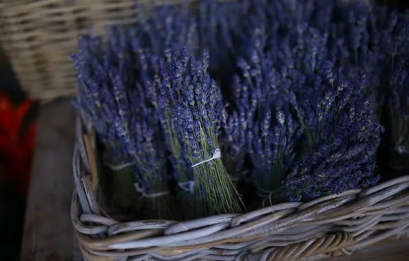 Basket, a lot, lavender