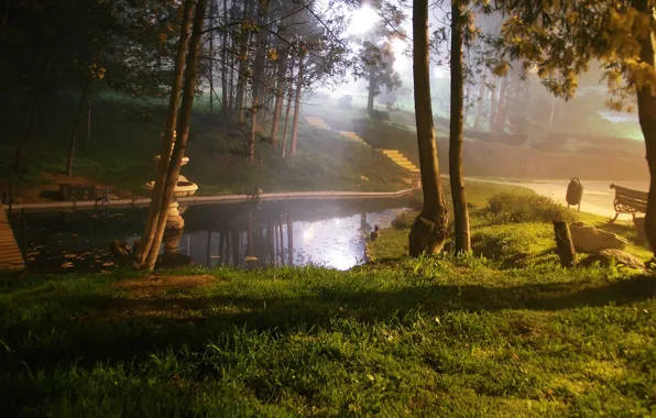Picture landscape, nature, pond, Park