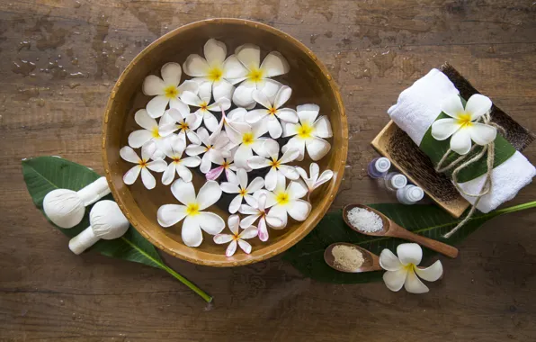 Picture water, flowers, plumeria, Spa