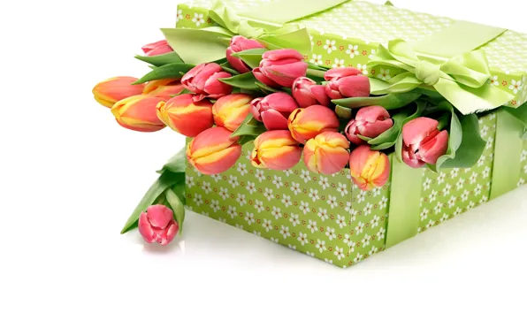 Picture box, gift, bouquet, tulips, bow