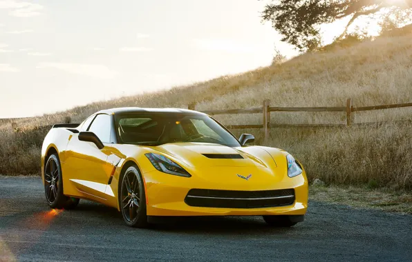 Picture Corvette, Stingray, 2014