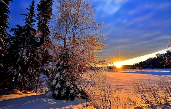 Winter, forest, the sun, rays, snow, trees, landscape, sunset