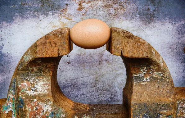 Egg, rust, vise