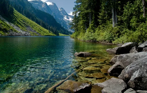 Picture water, trees, mountains, nature, mountain river