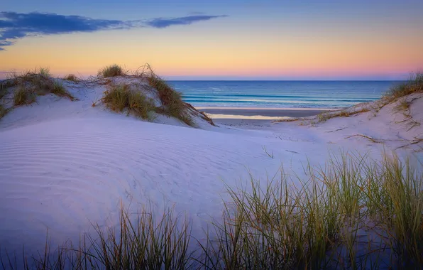 Sea, sunset, shore, dunes