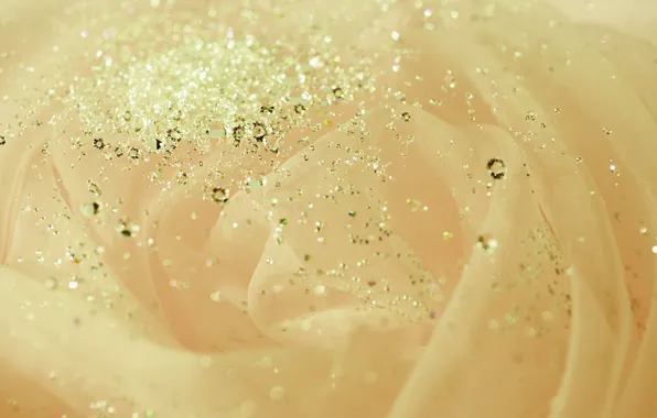 Picture lights, Shine, texture, sequins, rhinestones, beads, bokeh, organza