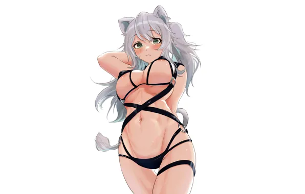 Girl, sexy, cleavage, erect nipples, long hair, boobs, animal ears, anime