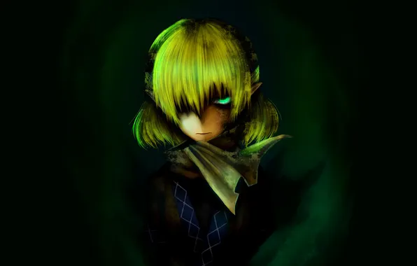 Look, girl, art, ears, touhou, green background, mizuhashi parsee