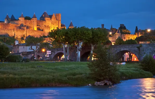 Picture trees, bridge, lights, river, castle, France, the evening, lights