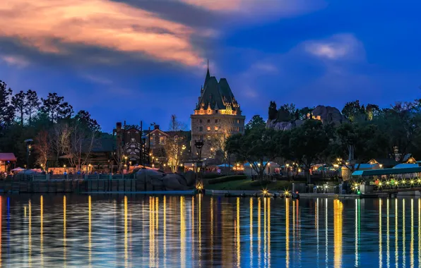 Picture the sky, trees, lights, pond, Park, home, the evening, FL