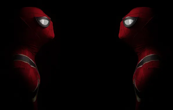 People, spider, Face to Face
