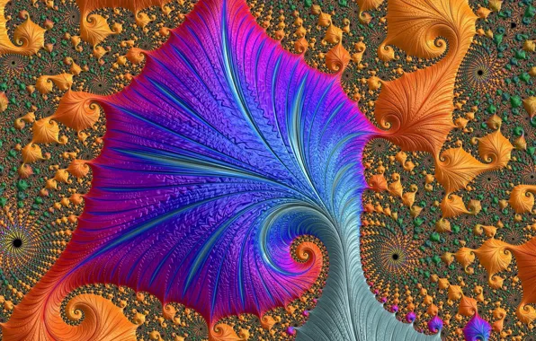 Picture pattern, color, fractal