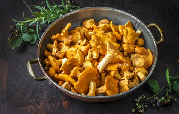 Mushrooms, blueberries, chanterelles