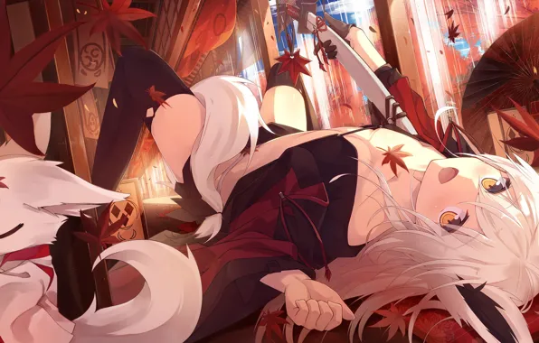 Look, sword, anime, art, tail, ears, animal, youkai