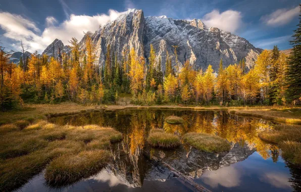 Autumn, forest, clouds, trees, lake, mountain, Canada, space