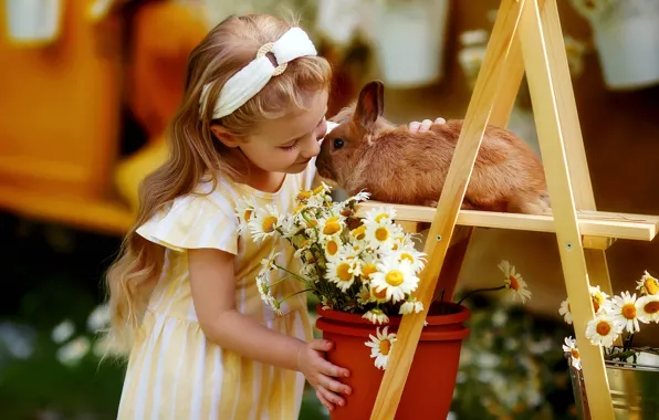 Picture flowers, mood, chamomile, rabbit, girl, Lyubov Pyatovskaya