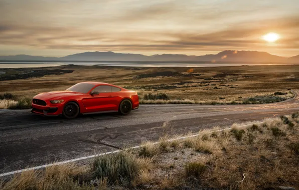 Sunset, Mustang, Ford, Shelby, Red, Auto, Road, Machine