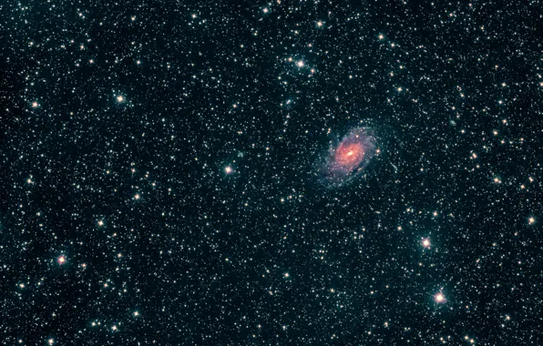 Picture galaxy, Peacock, in the constellation, NGC6744