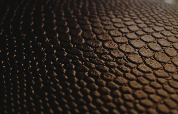 Macro, black, texture, leather, the transition, brown, chorology