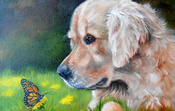 Look, pose, oil, portrait, dog, painting, face, canvas