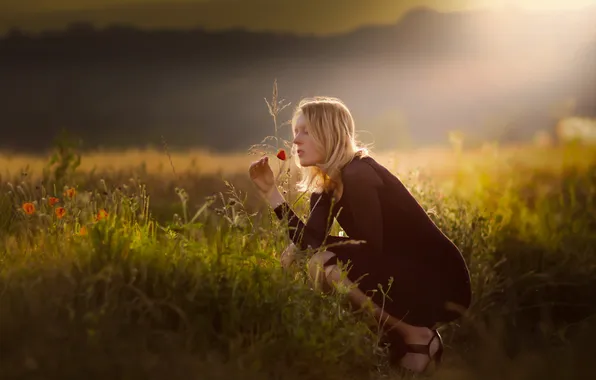 Picture field, flower, girl