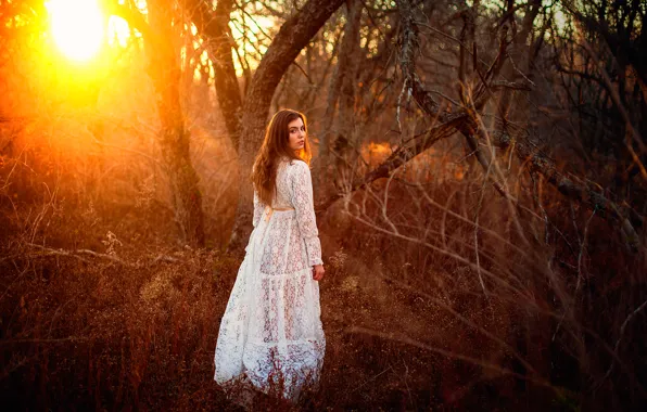 Picture forest, girl, the sun, dress