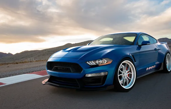 Ford Mustang, 2018, Shelby 1000