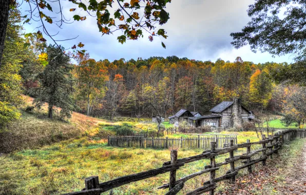 Picture autumn, forest, grass, leaves, trees, branches, house, the fence