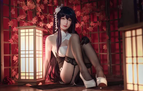Look, room, foliage, brunette, lantern, Asian, cosplay, black stockings
