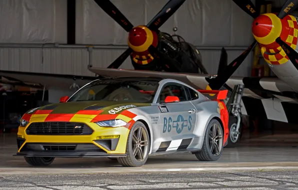 Ford, Mustang GT, Roush, 2019, Old Crow