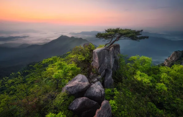 Picture greens, summer, the sky, trees, mountains, fog, stones, rocks