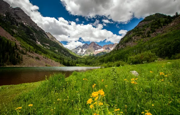 Picture forest, grass, clouds, trees, flowers, mountains, lake, rocks