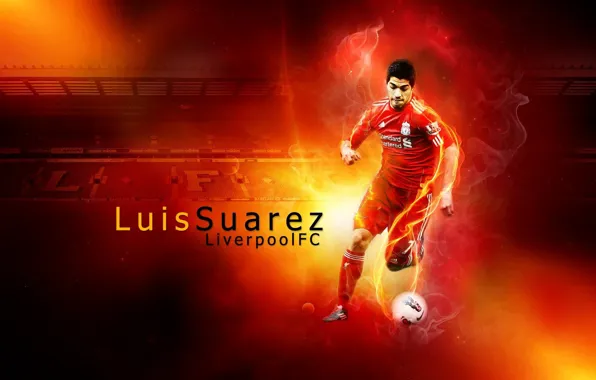 Wallpaper, sport, stadium, football, Liverpool FC, Anfield Road, player, Luis Suarez