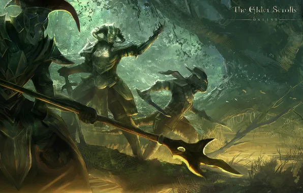 Picture forest, weapons, war, art, spear, armor, The Elder Scrolls Online