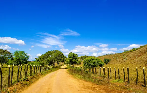 Picture road, the sky, clouds, the fence, field, Brazil, the countryside, farm