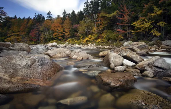 Autumn, landscape, river, stones
