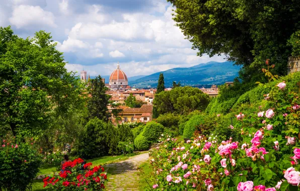Summer, flowers, mountains, trail, Florence