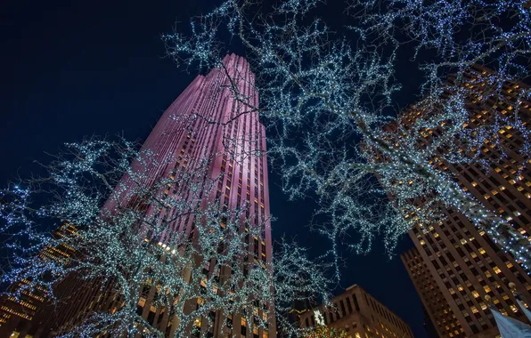 Night, the city, lights, home, new York, garland, USA, skyscrapers