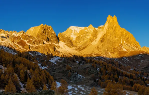 Picture trees, mountains, nature, France
