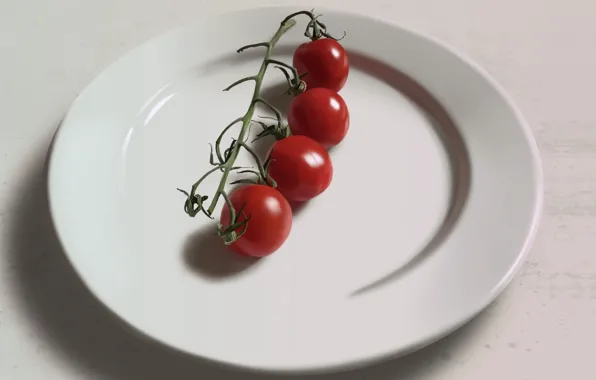 Plate, still life, tomatoes, cherry, tomatoes, Guenter Zimmermann, Four tomatoes on a plate.