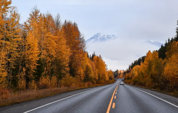 Road, machine, autumn, forest, asphalt, mountains, fog, the way