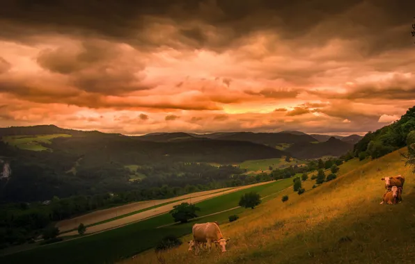 Summer, the sky, grass, clouds, trees, landscape, sunset, mountains