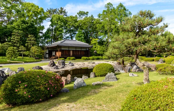 Picture nature, pond, Park, Japan, garden, Kyoto