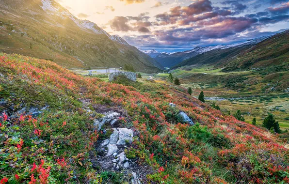 The sun, Mountains, Switzerland, Alps, Landscape